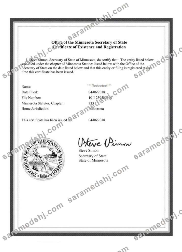 USA Minnesota certificate of good standing